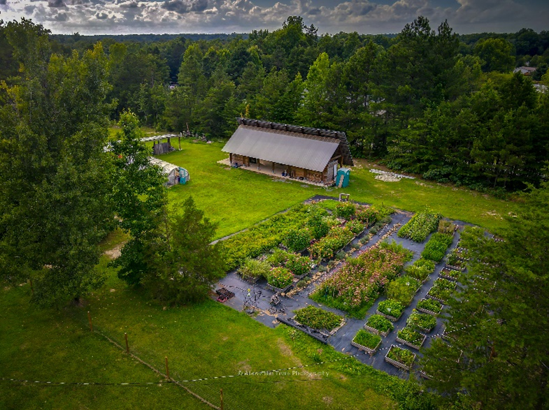 Benevolence Farm_Field-1